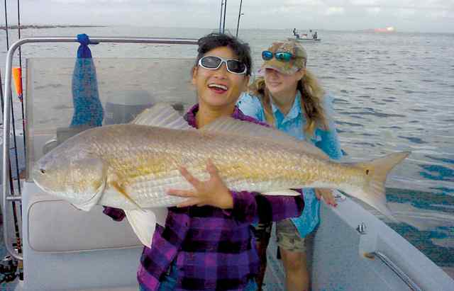 Christine To Galveston Jettiesfirst bull!