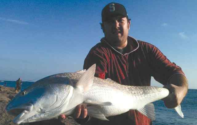 Austin Apicella Port Aransas40&quot; red