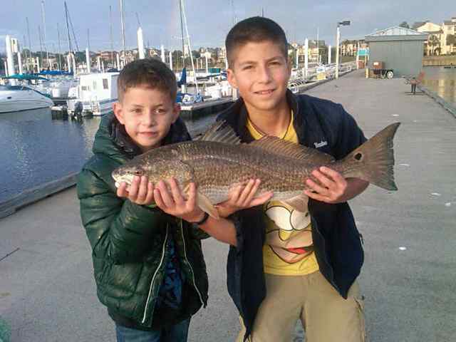 Bora and Ardacan Guzel Clearlake28&quot; red