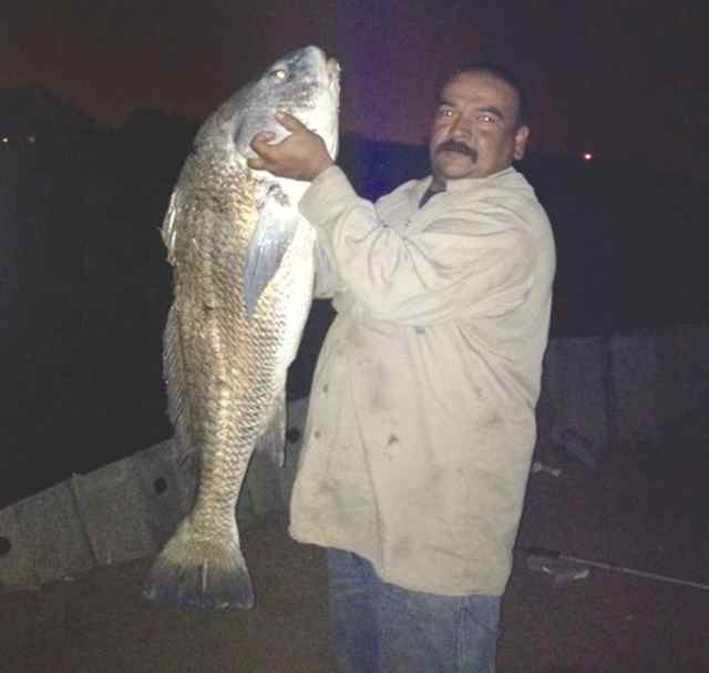 Alfredo Guajardo Victoria Barge Canal44&quot; black drum