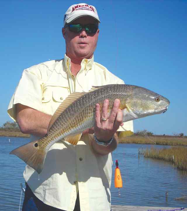 Joe Simpson Smith Point25&quot; redfish