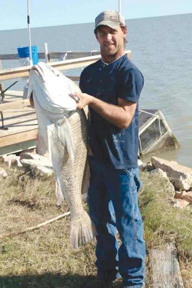 Clinton Wright San Antonio Bay46&quot; drum