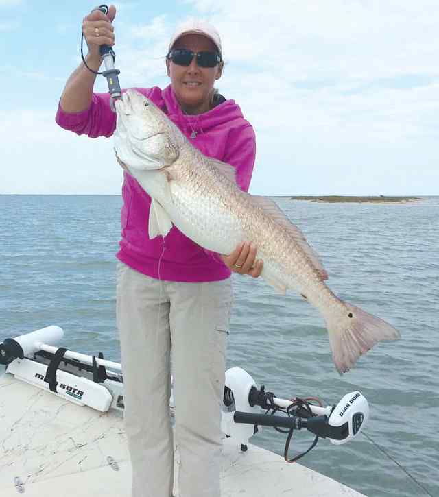 Kristine Metcalfe Steamboat Pass near Seadriftbull red
