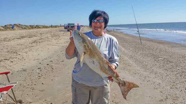 Barbara Reynaga High Island, fishing the bull run

bull red