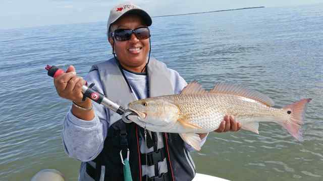 Paulette Landry East Bayredfish