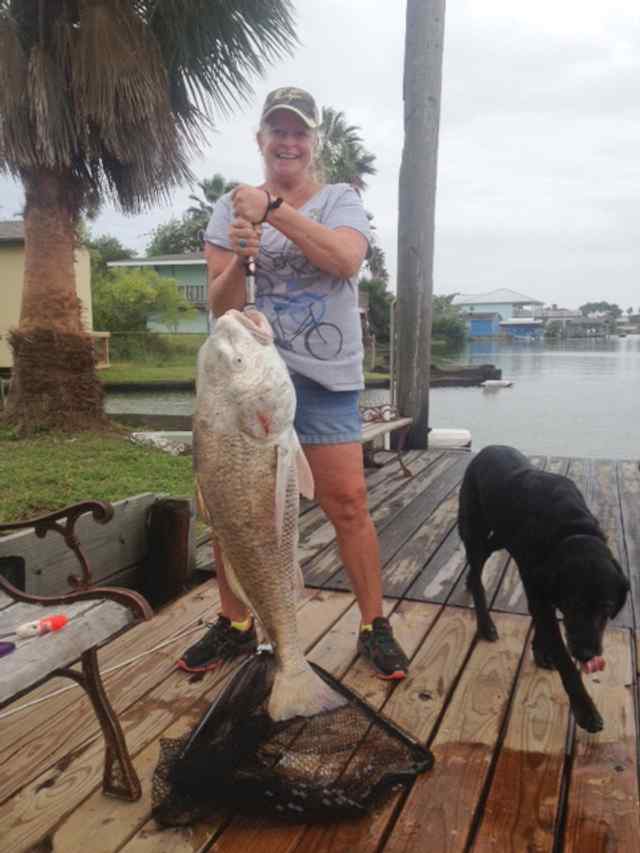 Hope Slaughter South Copano Bay50+&quot; personal best black drum! Caught off dock in canal.