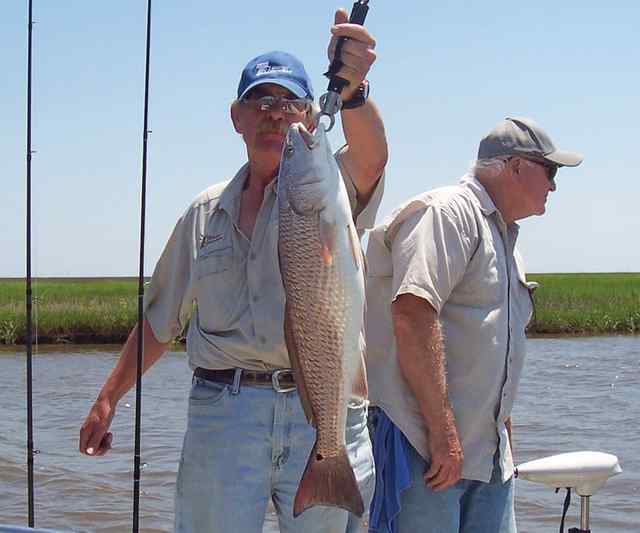David Turner Sabine Passredfish