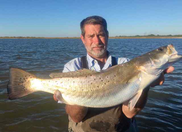 Rick Commander trout