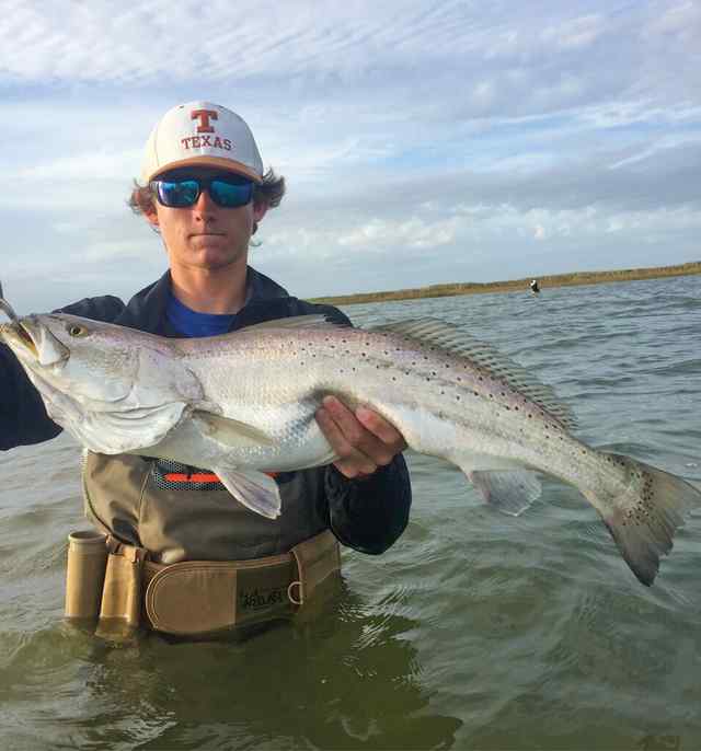 Zachary Friedrichs trout