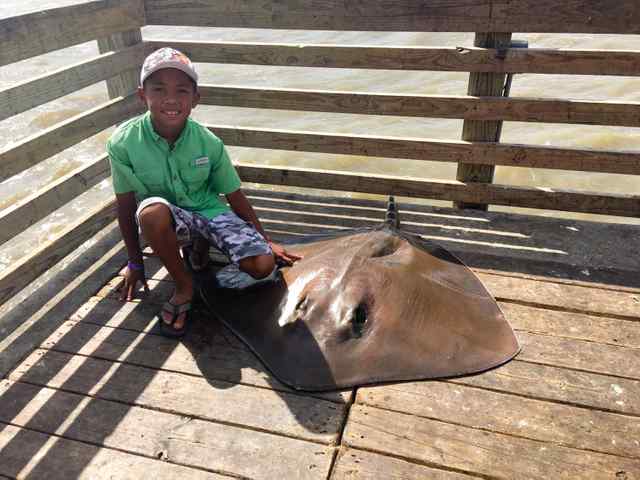 Aden Viet Johnson Galveston fishing pier - stingray