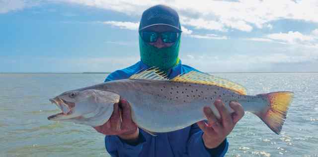 Trevor Mote East Matagorda Bay - 25" trout