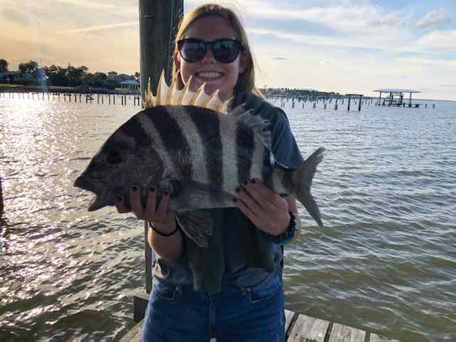 Braedin Aubele Gaveston Bay - sheepshead CPR, tossed back before it could be measured, but definitely a new record for Galveston Bay C&R!