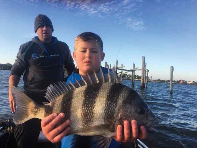 Beckett Aubele sheepshead CPR