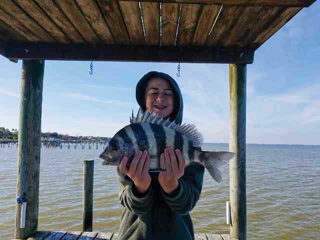 Blane Aubele sheepshead CPR