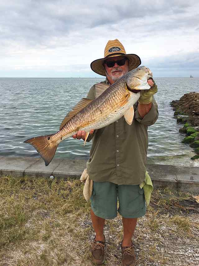Mike Gavlik Rockport/Aransas Bay - 31" redfish