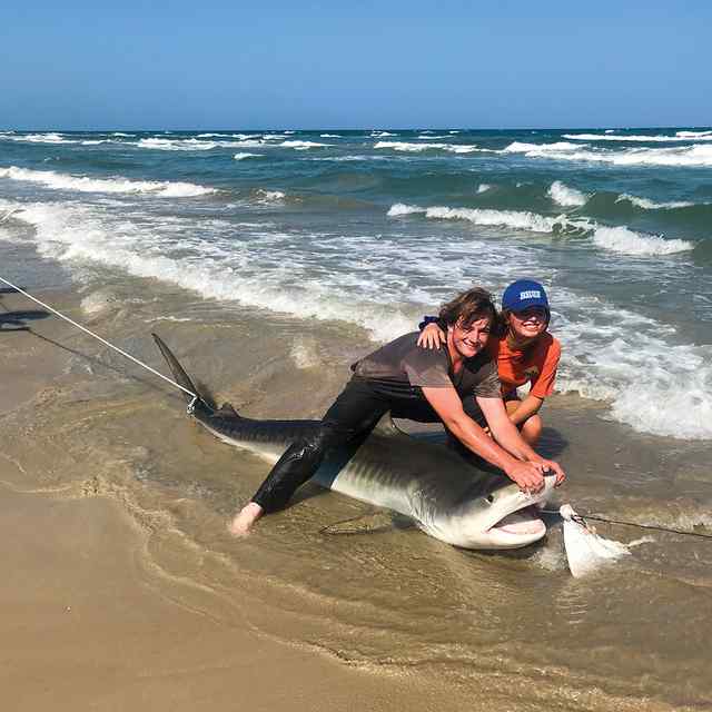 Julianna & Zach 10' 5" tiger shark, first time shark fishing!