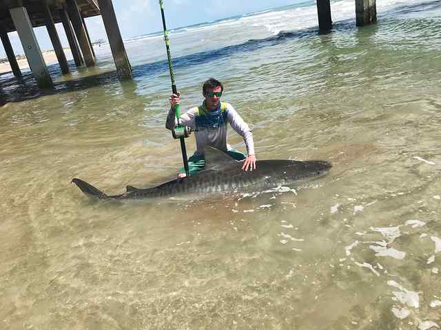 Dillon Migues 9' 1" tiger shark
