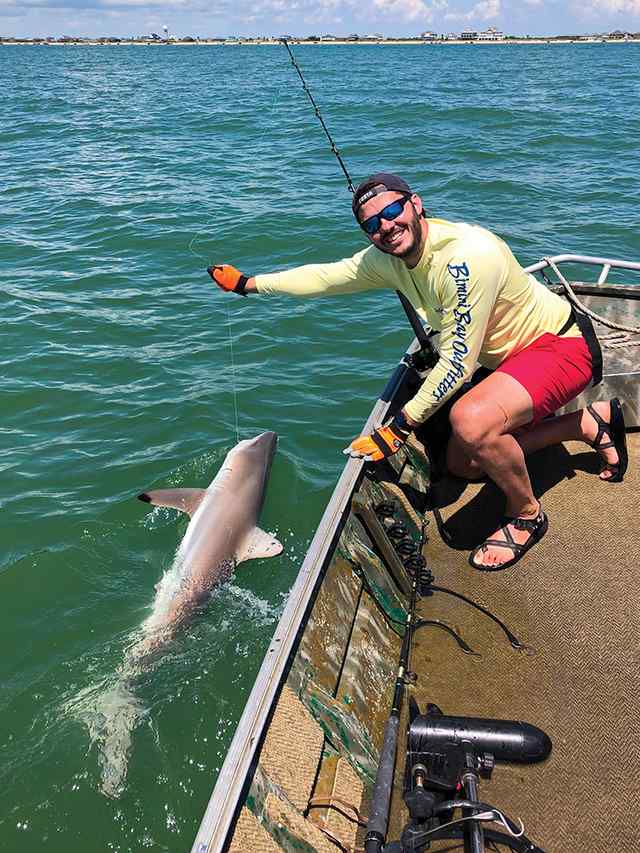 Travis Hebert Crystal Beach - 7' blacktip shark