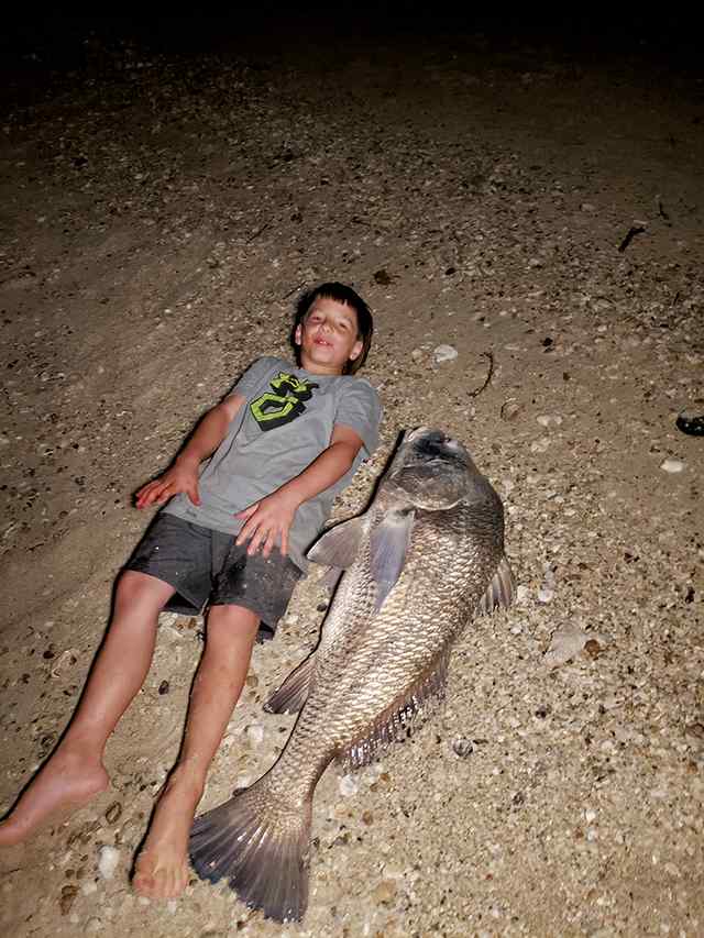 Hunter Zorn Magnolia Beach - 39" black drum, caught on cut mullet with a 10 foot surf rod