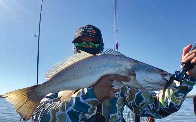Juan Perez West Galveston Bay - 26" trout