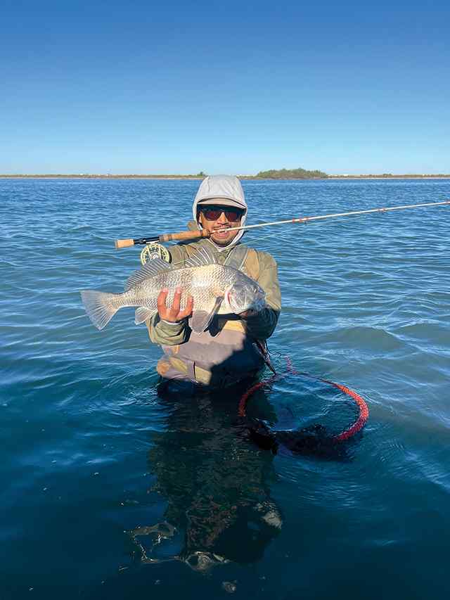 Mateo Morales Rockport - 22" black drum, caught on the fly