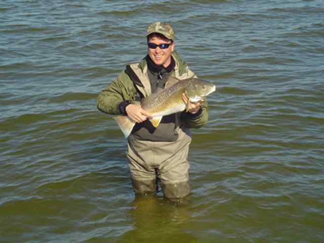 Matt Dennis Matagorda Bay30.5&quot; redfish