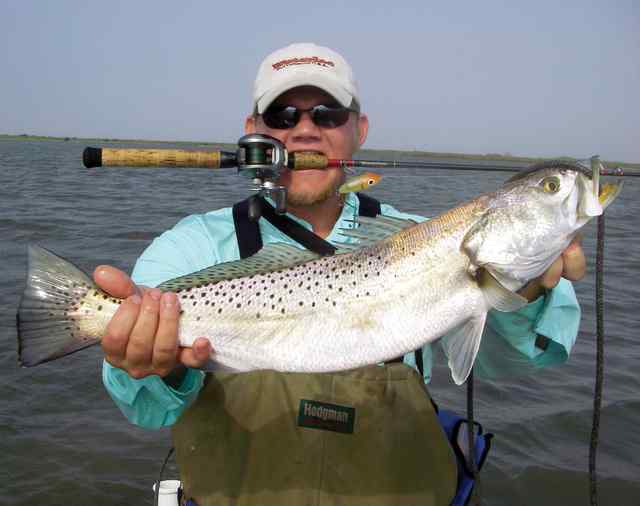 Clay Ebner trout and new Waterloo rod!