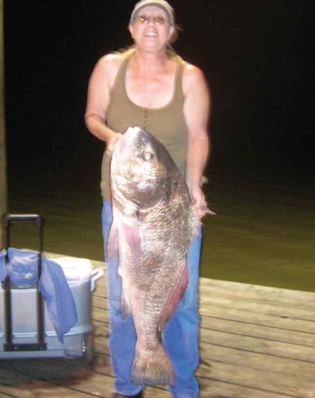 Roxanne Herndon 
 
snagged this black drum after a twenty minute fight