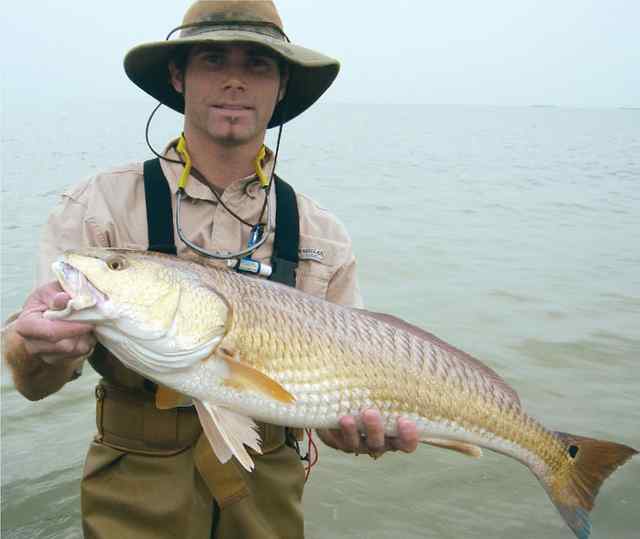 Jeremy Janda Seadrift32&quot; redfish CPR