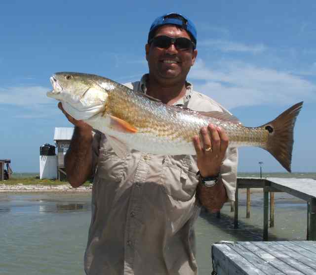 Juan Martinez Baffin Bay33&quot; redfish