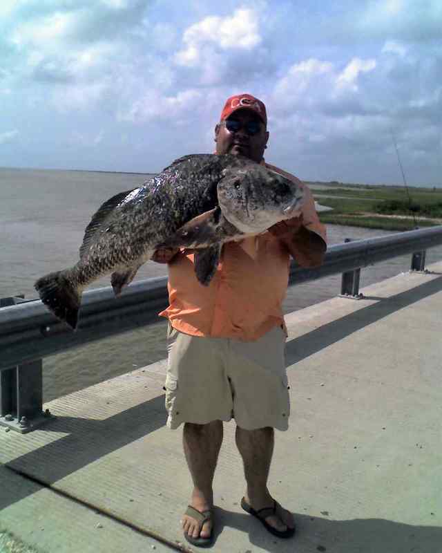 Raymond LeaL Jr. Oyster Lake48&quot; black drum CPR