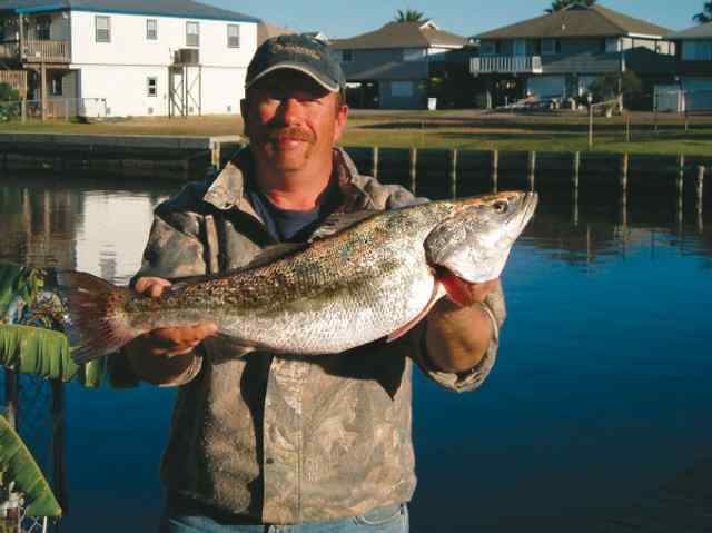 Thomas Barlow West Galveston Bay28&quot; trout