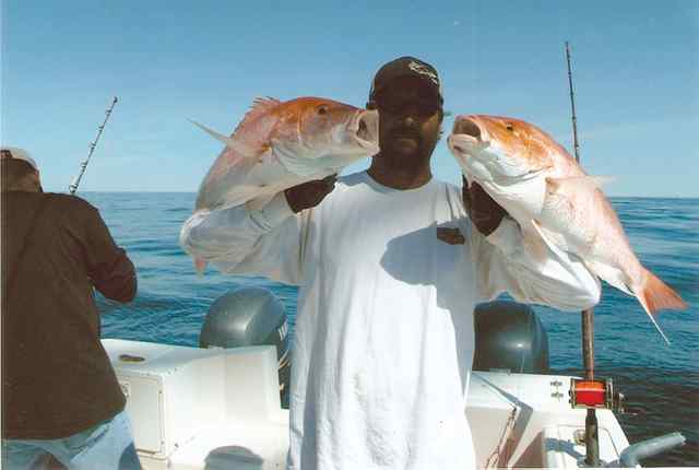 Kip 8 Mile Rockred snapper