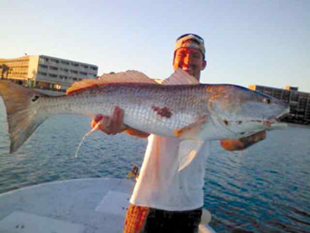 Matt Lookingbill Corpus Christi Bay41&quot; redfish