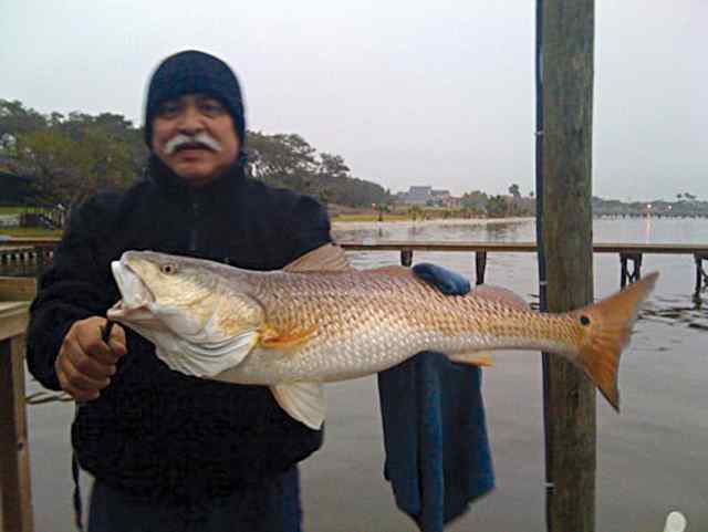 Paul Martinez Copano Bay29.75&quot; red CPR