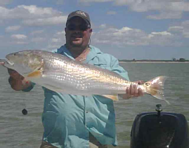 Phil Simon Baffin Bay39&quot; redfish