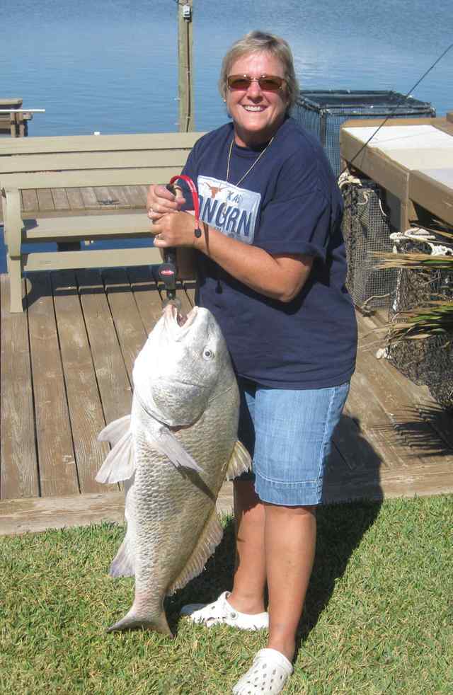 Karen Hill ICW40&quot; black drum
