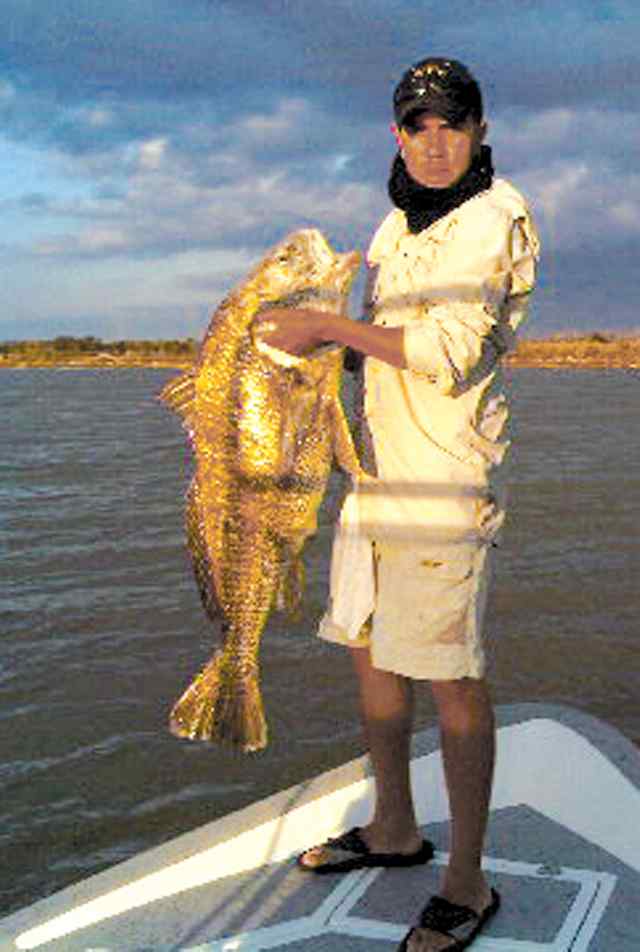 Paul Martinez Trinity Bay45&quot; drum CPR