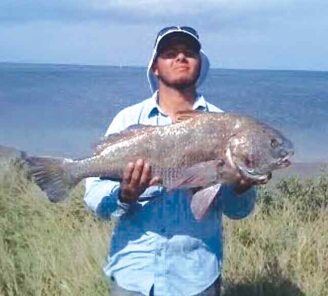 Victor Ramos SPI33&quot; black drum