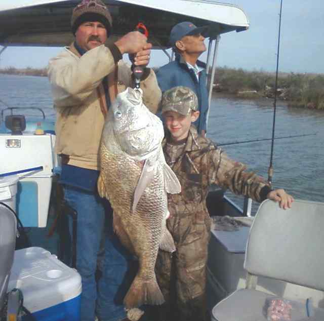 Stuart Hanzik Matagorda50lb drum