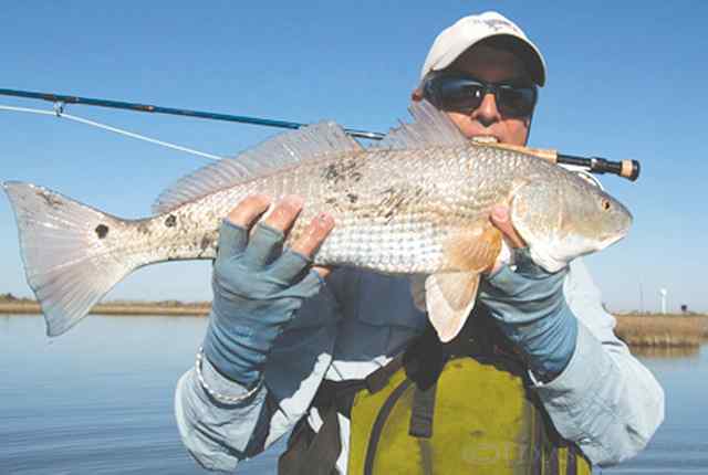 Shannon Drawe Galveston6lb redfish