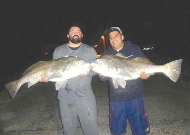 Rudy Gomez & Danny Esparza Copano Bayblack drum
