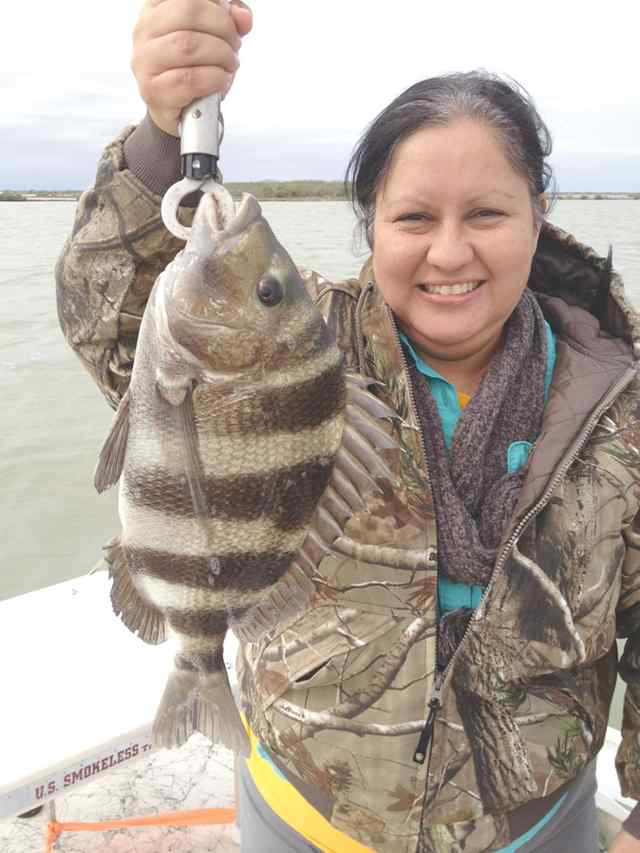 Sandra Pacheco Laguna Madre18&quot; sheepshead