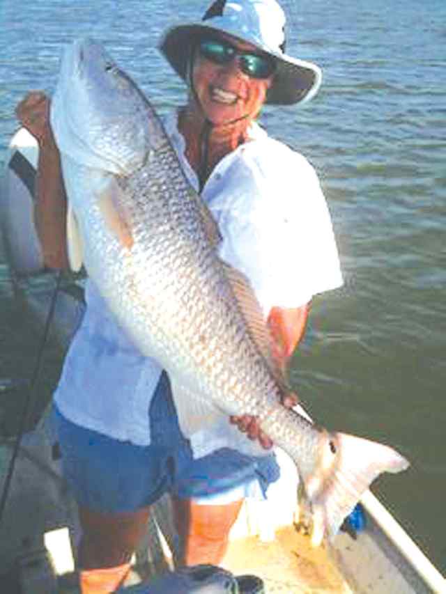Sandy Saunders Port O'Connor49&quot; bull red