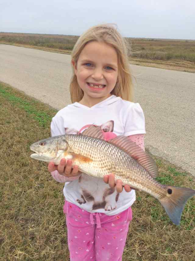 Olivia Harris Stingaree Canal, Crystal Beachredfish