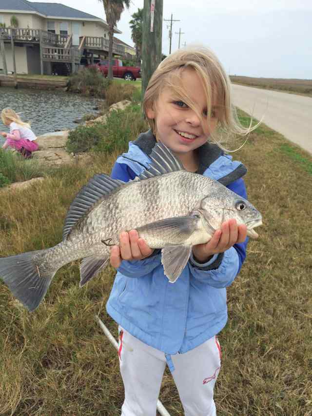 Sophia Harris Stingaree Canal, Crystal Beachblack drum