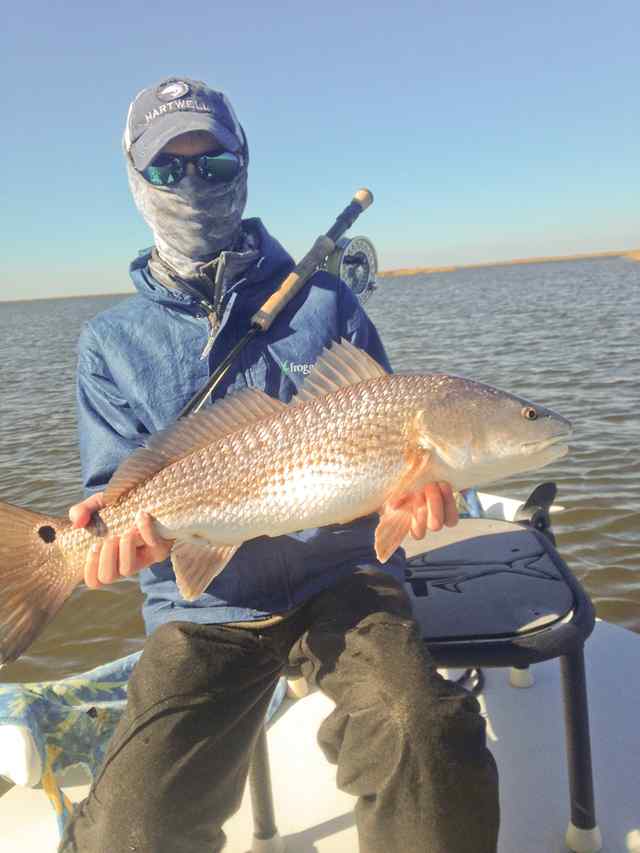 Joshua Kenney Lousianafirst redfish on fly!