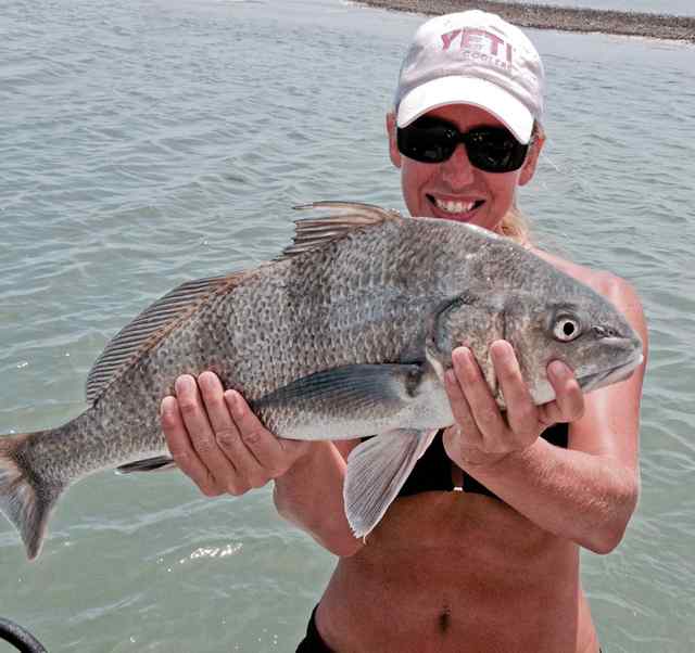 Miranda Maddox Rockportfirst drum! CPR