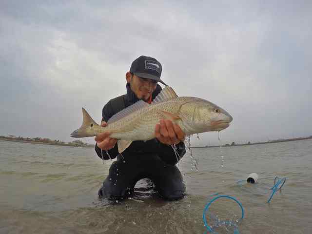 Roy Gonzales Corpus Christiredfish