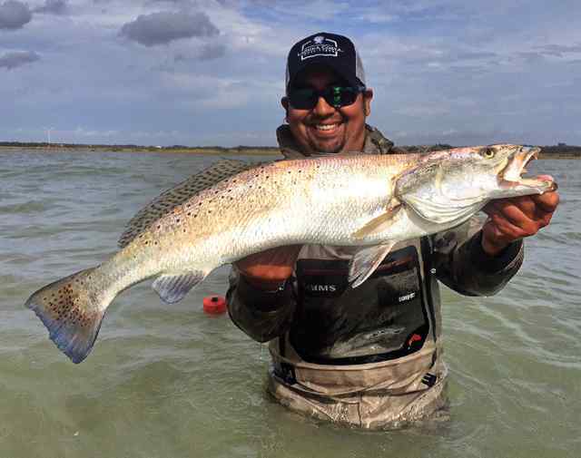 Robert Guerra Nueces Bay31&quot; 8.5 lb speck CPR, caught on a maroon /black back corky fat boy